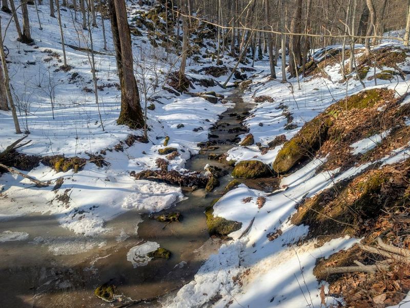 0 Tract 16 Ch 59 , Cutler, OH 45724 Photo 35