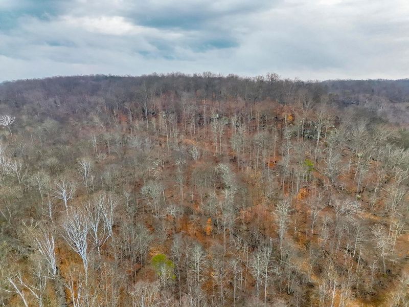 0 Tract 16 Ch 59 , Cutler, OH 45724 Photo 38