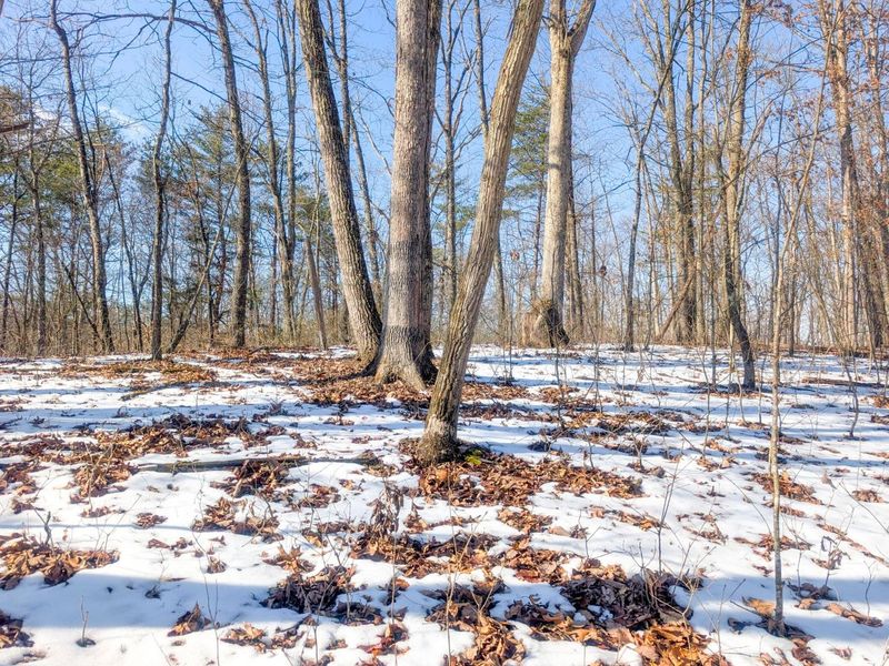 0 Tract 16 Ch 59 , Cutler, OH 45724 Photo 4