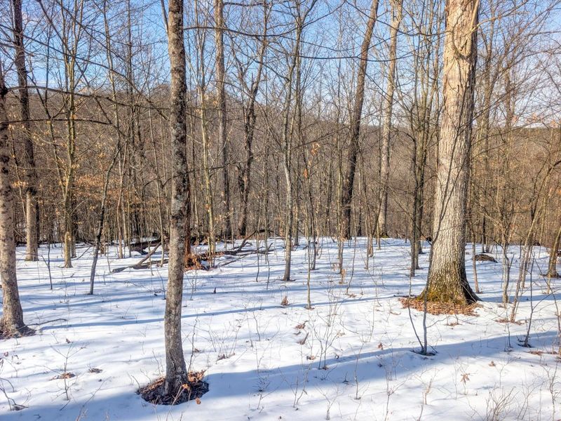 0 Tract 16 Ch 59 , Cutler, OH 45724 Photo 5