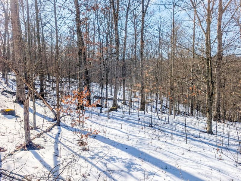 0 Tract 16 Ch 59 , Cutler, OH 45724 Photo 6