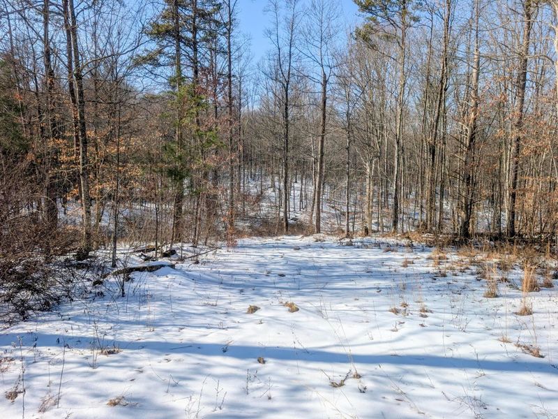 0 Tract 16 Ch 59 , Cutler, OH 45724 Photo 7