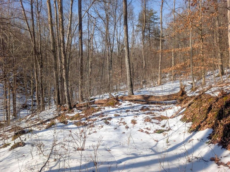 0 Tract 16 Ch 59 , Cutler, OH 45724 Photo 8