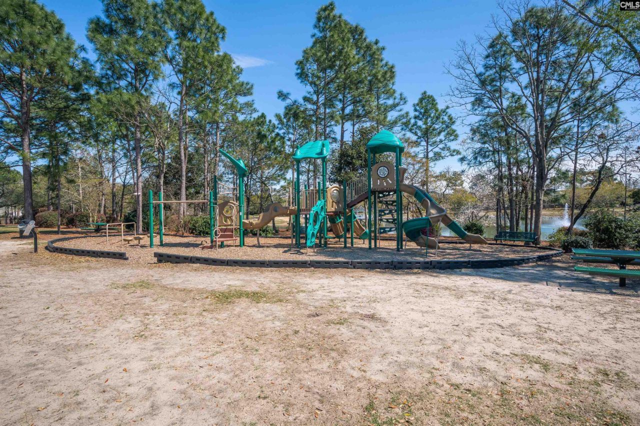 665 Blue Ledge Circle Photo 29