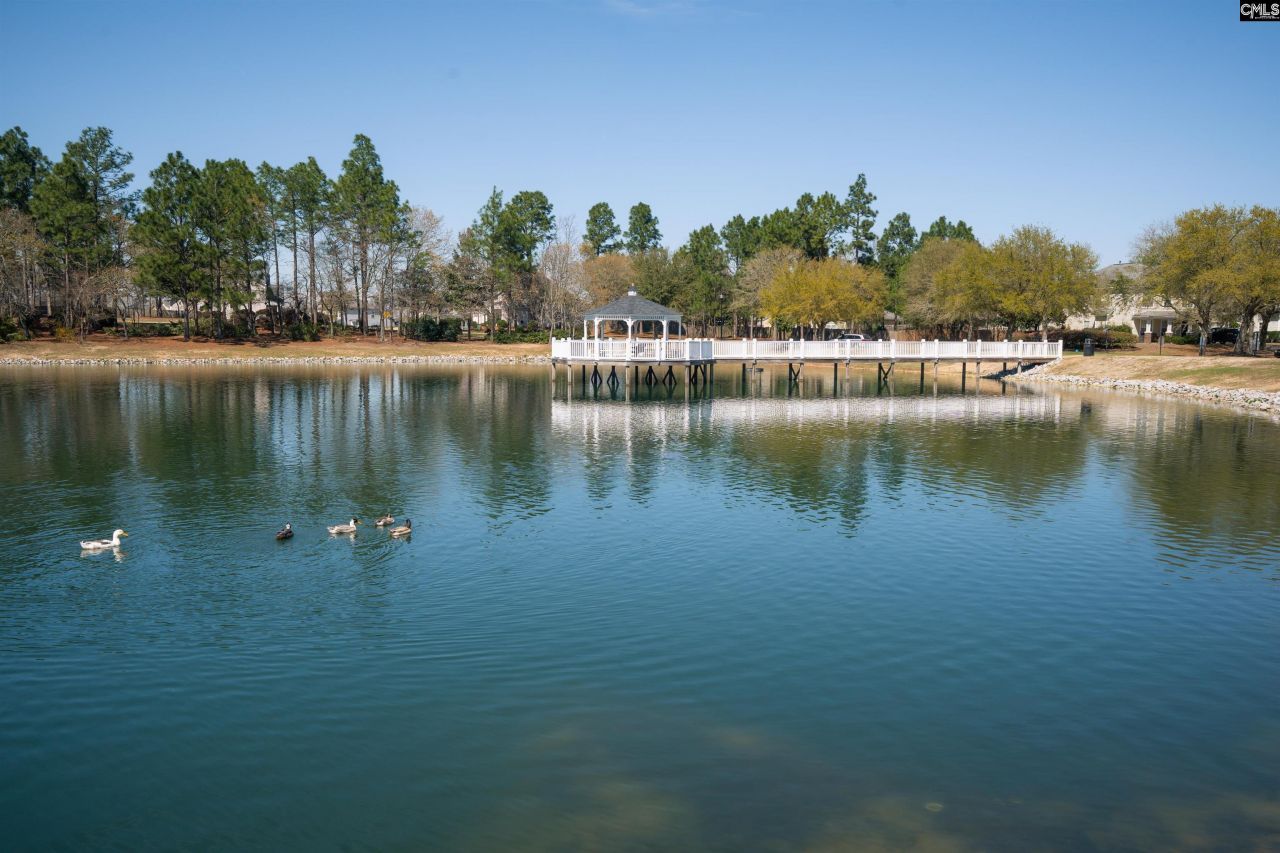 665 Blue Ledge Circle Photo 31