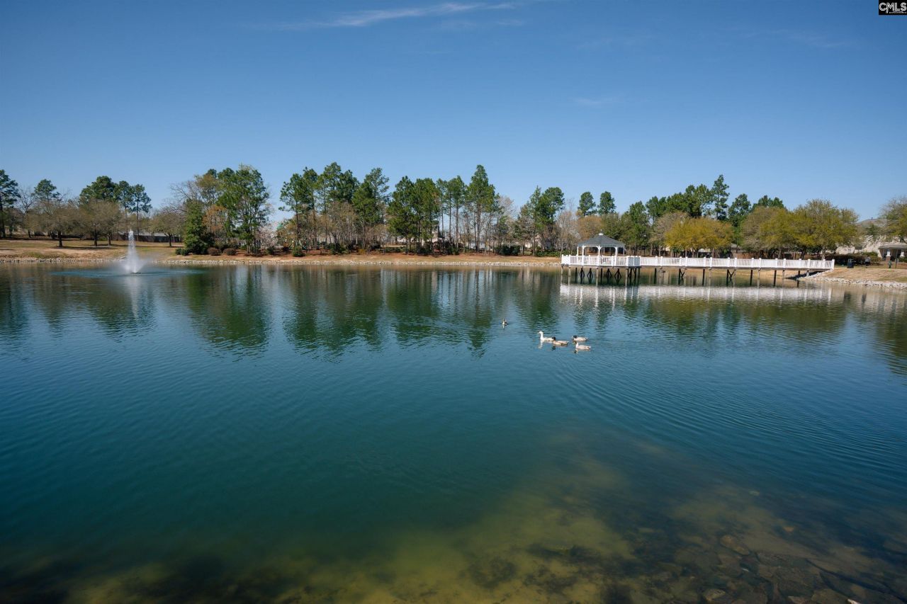 665 Blue Ledge Circle Photo 32