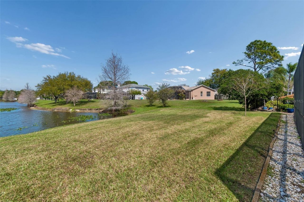 11415 Whispering Hollow, Tampa, FL 33635 Photo