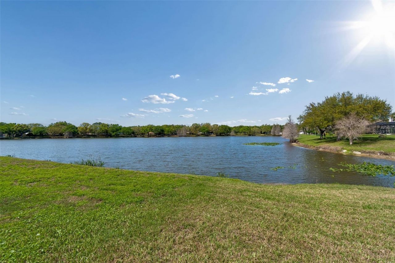 11415 Whispering Hollow, Tampa, FL 33635 Photo
