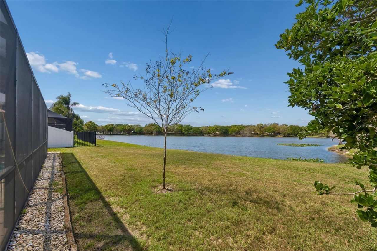 11415 Whispering Hollow, Tampa, FL 33635 Photo