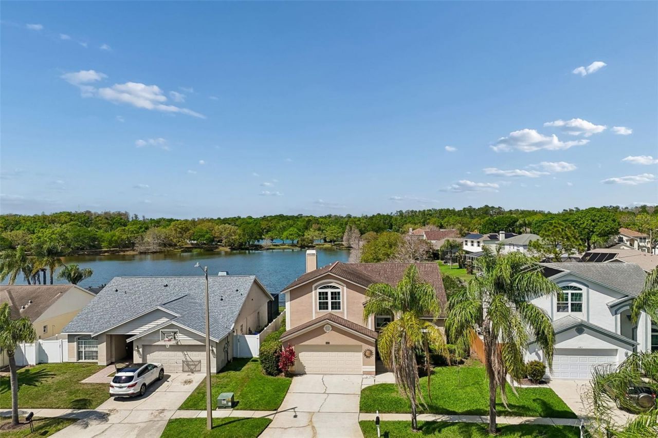 11415 Whispering Hollow, Tampa, FL 33635 Photo