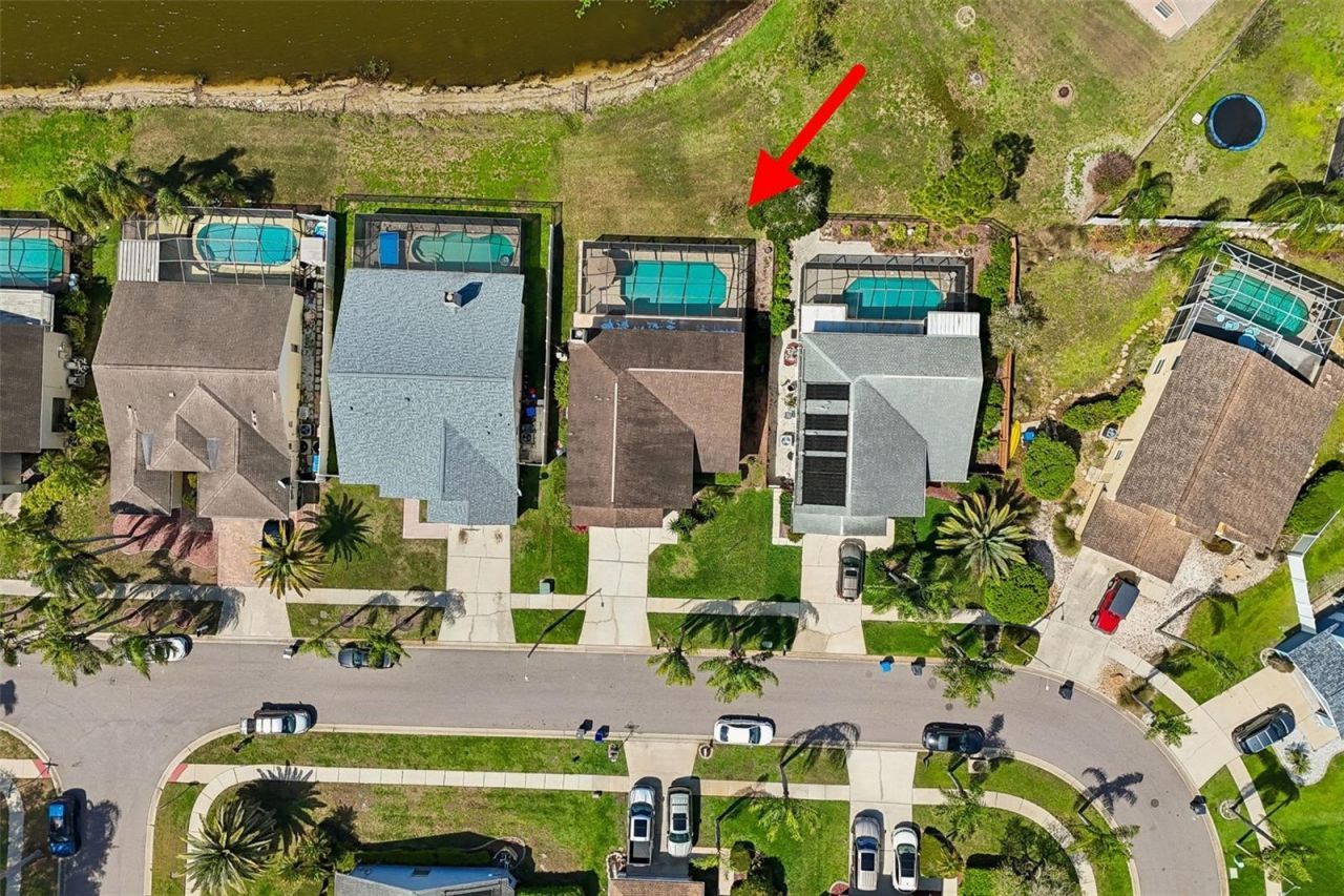 11415 Whispering Hollow, Tampa, FL 33635 Photo