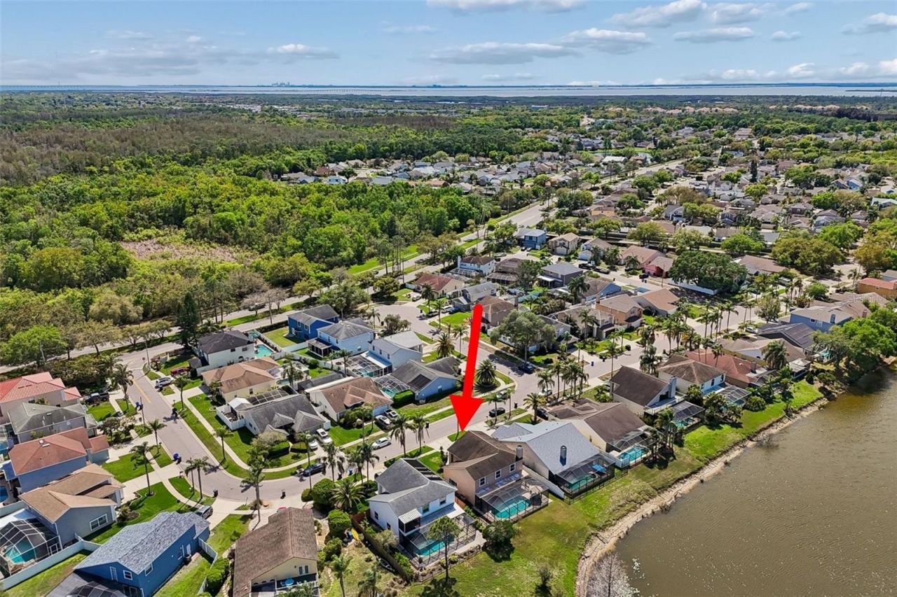 11415 Whispering Hollow, Tampa, FL 33635 Photo