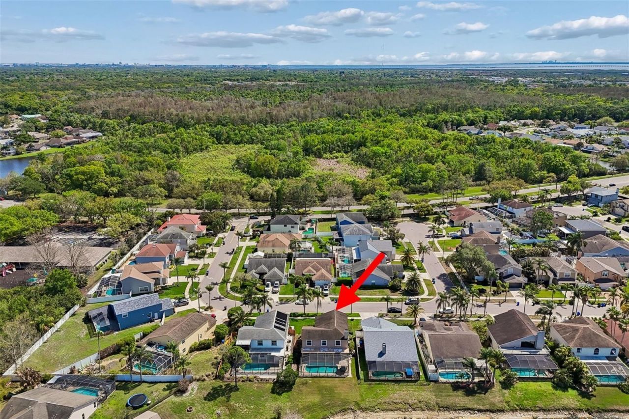 11415 Whispering Hollow, Tampa, FL 33635 Photo