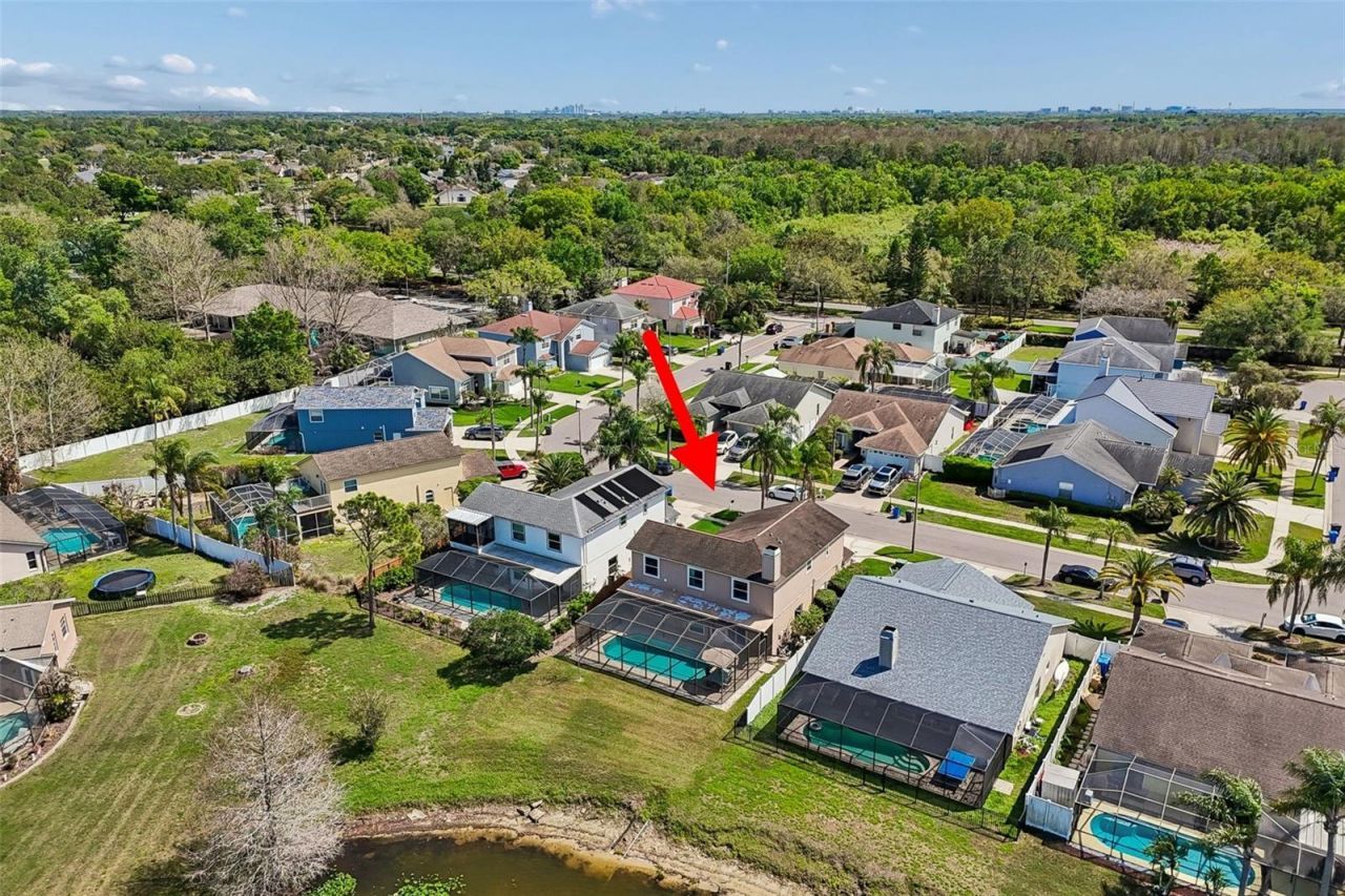 11415 Whispering Hollow, Tampa, FL 33635 Photo
