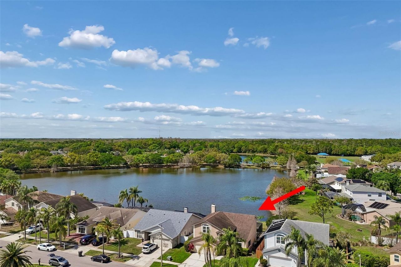 11415 Whispering Hollow, Tampa, FL 33635 Photo