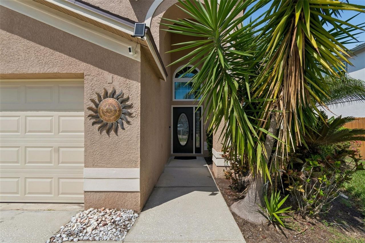 11415 Whispering Hollow, Tampa, FL 33635 Photo