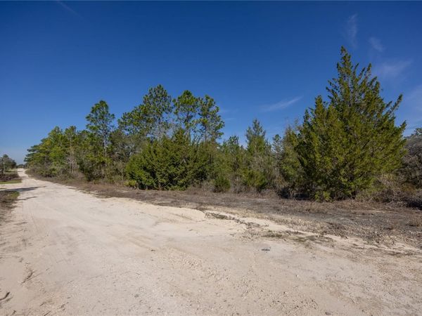 000 NE 64TH PLACE , WILLISTON, FL 32696