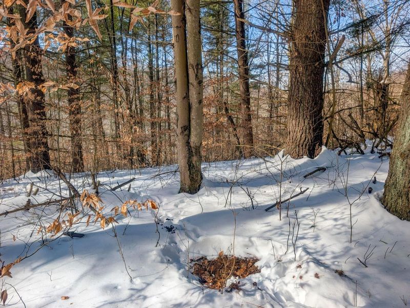 0 Tract 17 Brown Peavine Rd Road , Barnesville, OH 43713 Photo 10