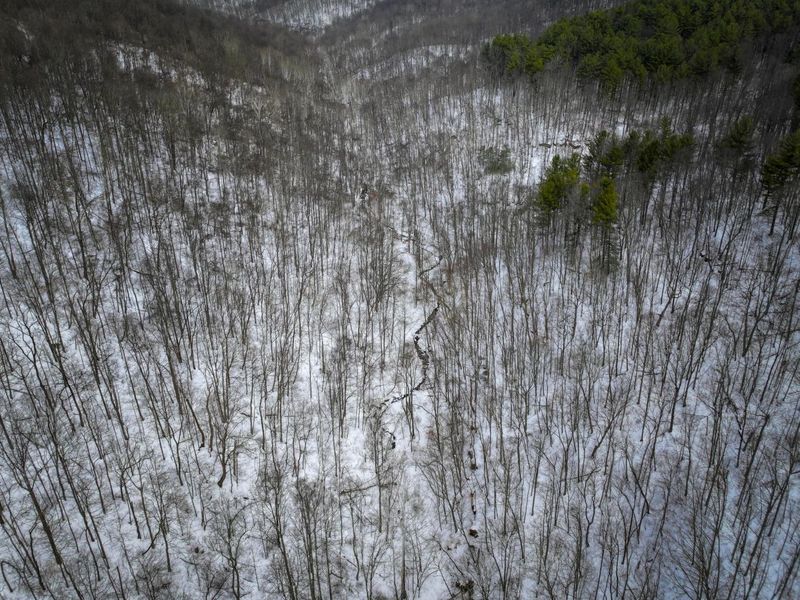 0 Tract 17 Brown Peavine Rd Road , Barnesville, OH 43713 Photo 12