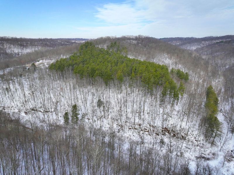 0 Tract 17 Brown Peavine Rd Road , Barnesville, OH 43713 Photo 14