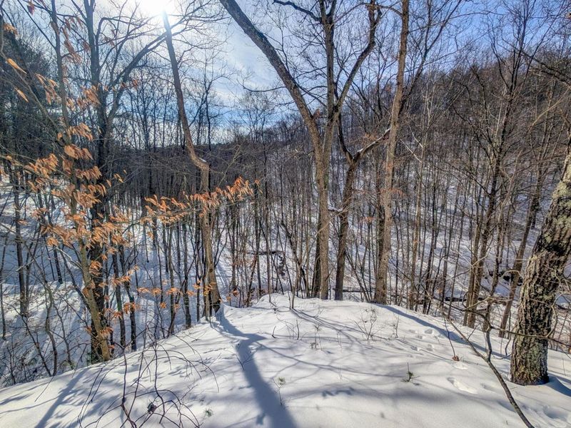 0 Tract 17 Brown Peavine Rd Road , Barnesville, OH 43713 Photo 15