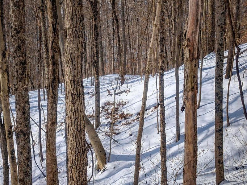 0 Tract 17 Brown Peavine Rd Road , Barnesville, OH 43713 Photo 16