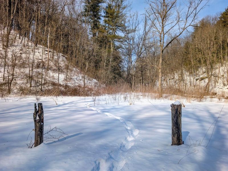 0 Tract 17 Brown Peavine Rd Road , Barnesville, OH 43713 Photo 17