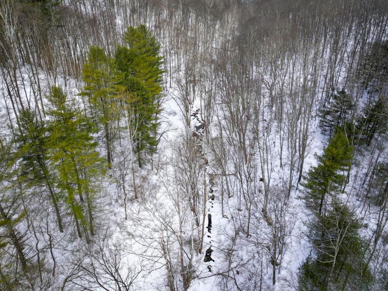 0 Tract 17 Brown Peavine Rd Road , Barnesville, OH 43713 Photo 18