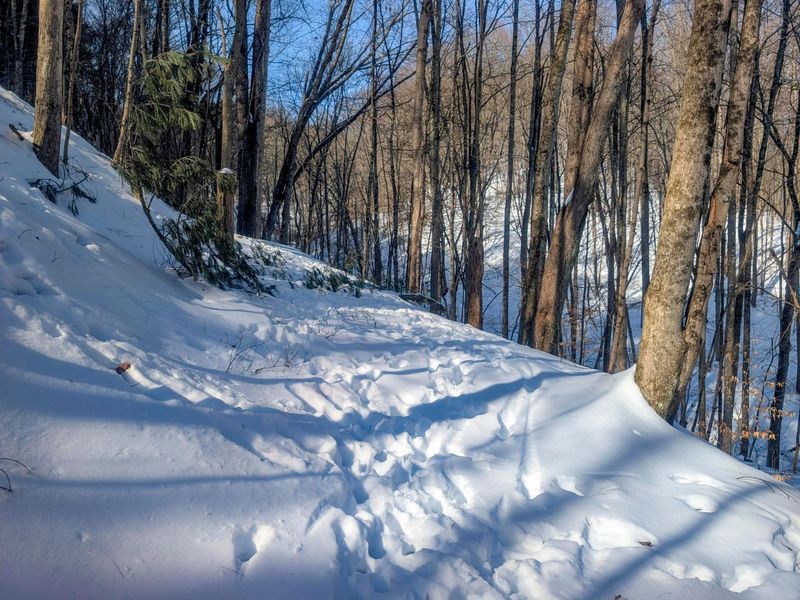 0 Tract 17 Brown Peavine Rd Road , Barnesville, OH 43713 Photo 20