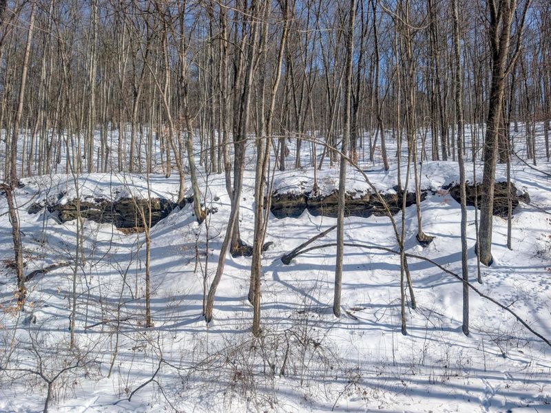 0 Tract 17 Brown Peavine Rd Road , Barnesville, OH 43713 Photo 21