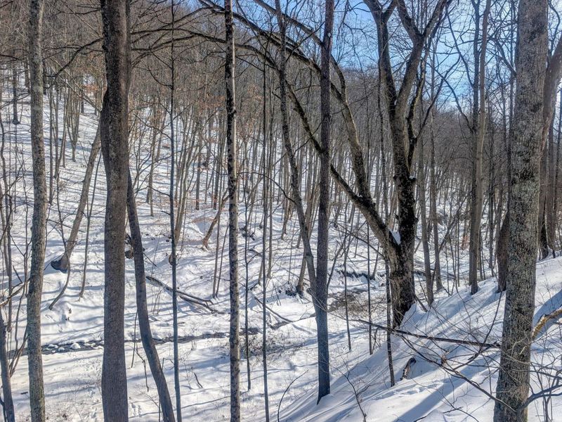 0 Tract 17 Brown Peavine Rd Road , Barnesville, OH 43713 Photo 22