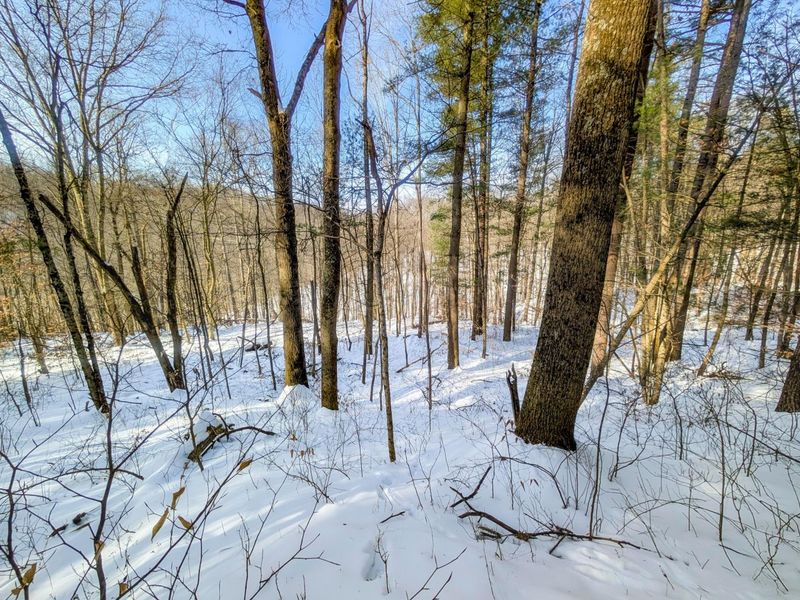 0 Tract 17 Brown Peavine Rd Road , Barnesville, OH 43713 Photo 23