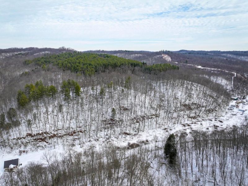 0 Tract 17 Brown Peavine Rd Road , Barnesville, OH 43713 Photo 25