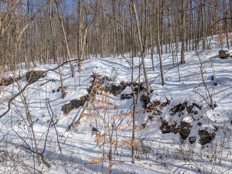 0 Tract 17 Brown Peavine Rd Road , Barnesville, OH 43713 Photo 3