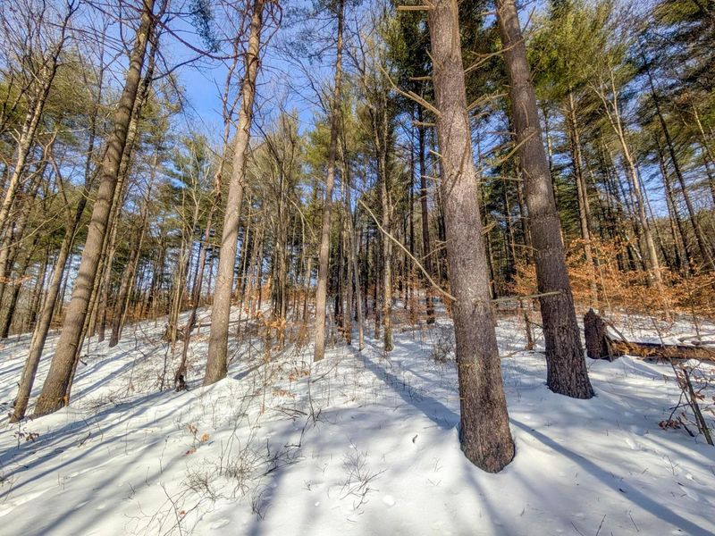 0 Tract 17 Brown Peavine Rd Road , Barnesville, OH 43713 Photo 4