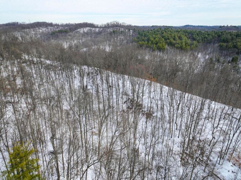 0 Tract 17 Brown Peavine Rd Road , Barnesville, OH 43713 Photo 7