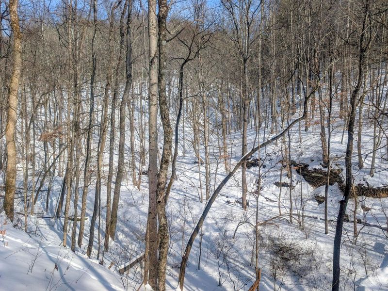 0 Tract 17 Brown Peavine Rd Road , Barnesville, OH 43713 Photo 9