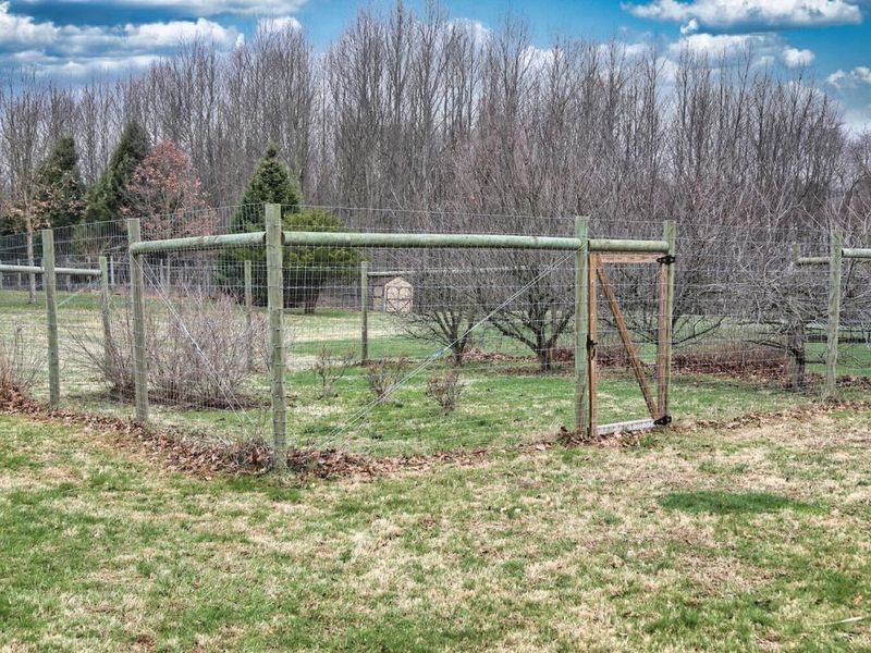 13399 Old Mansfield Road , Mount Vernon, OH 43050 Photo 47