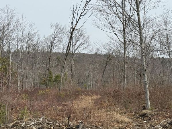 Lot A8 West Road , Waterboro, ME 04087