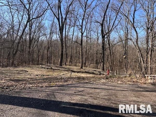 16 LONDONDERRY Lane, Mackinaw, IL 61755