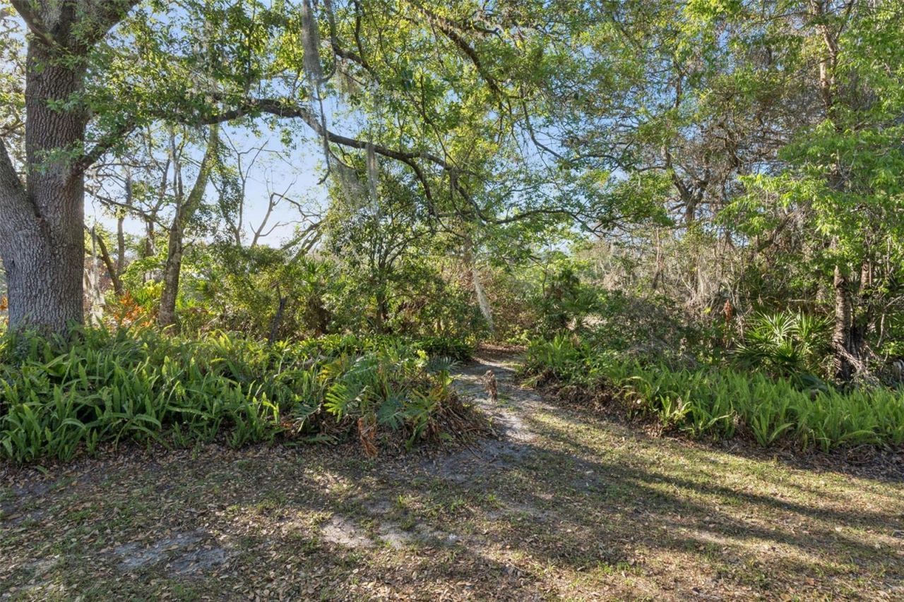 502 Club Dr , Winter Springs, FL 32708 Photo