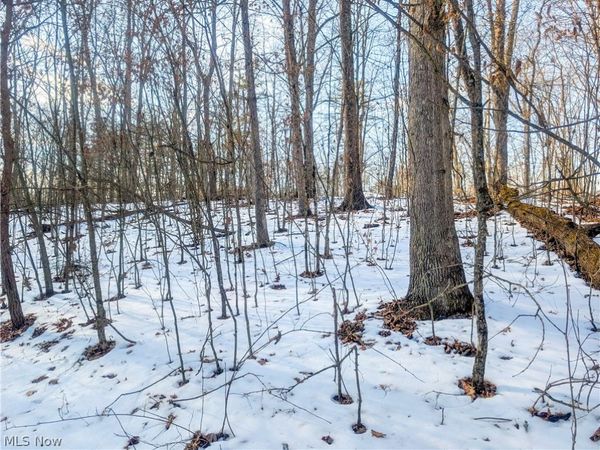 0 Tract 16 Ch 59 , Cutler, OH 45724