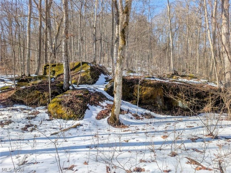 0 Tract 16 Ch 59, Cutler, OH 45724 Photo 12