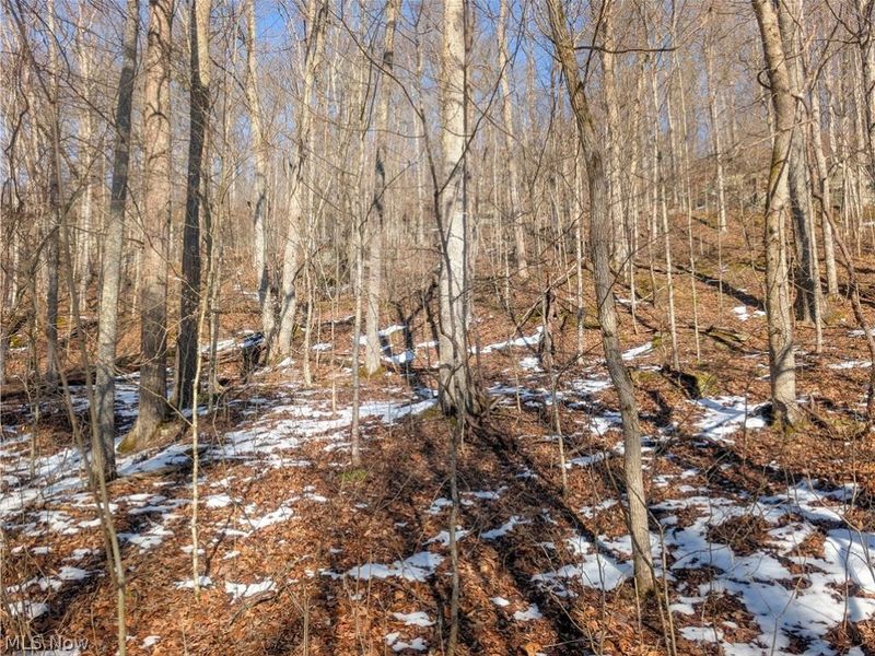 0 Tract 16 Ch 59, Cutler, OH 45724 Photo 15