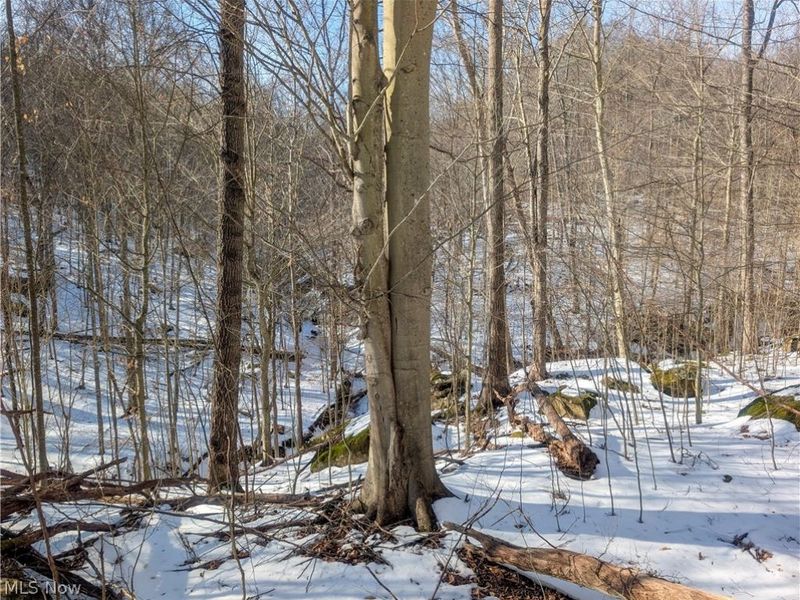 0 Tract 16 Ch 59, Cutler, OH 45724 Photo 17