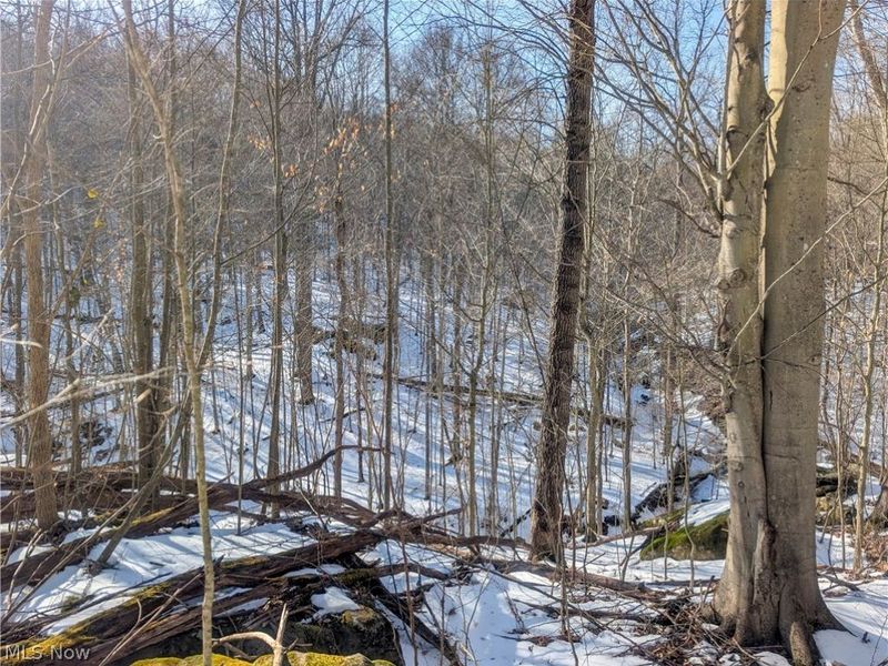 0 Tract 16 Ch 59, Cutler, OH 45724 Photo 18