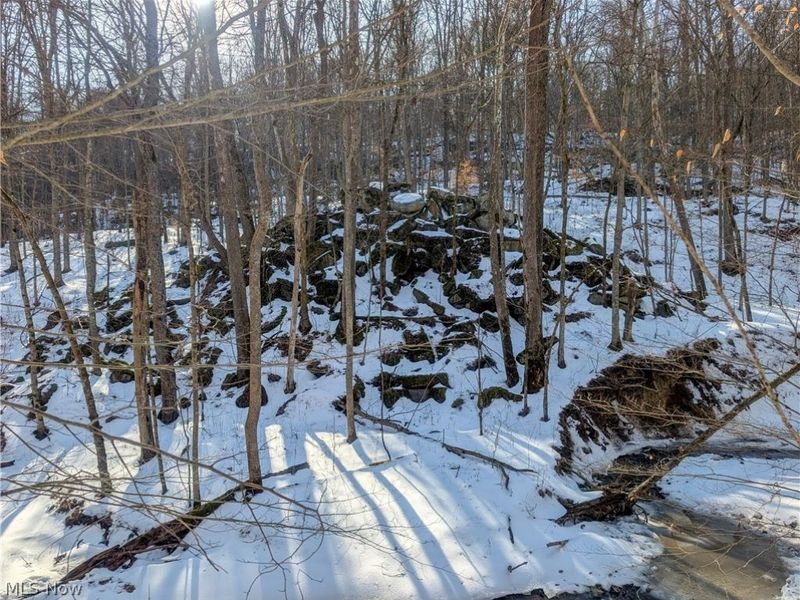 0 Tract 16 Ch 59, Cutler, OH 45724 Photo 19