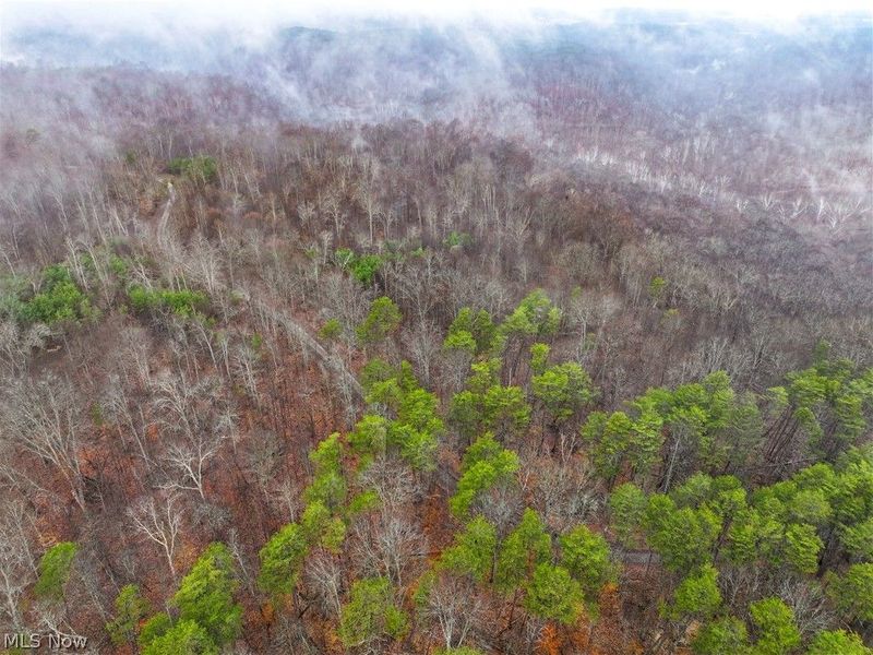 0 Tract 16 Ch 59, Cutler, OH 45724 Photo 24