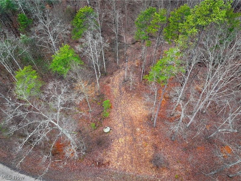 0 Tract 16 Ch 59, Cutler, OH 45724 Photo 25