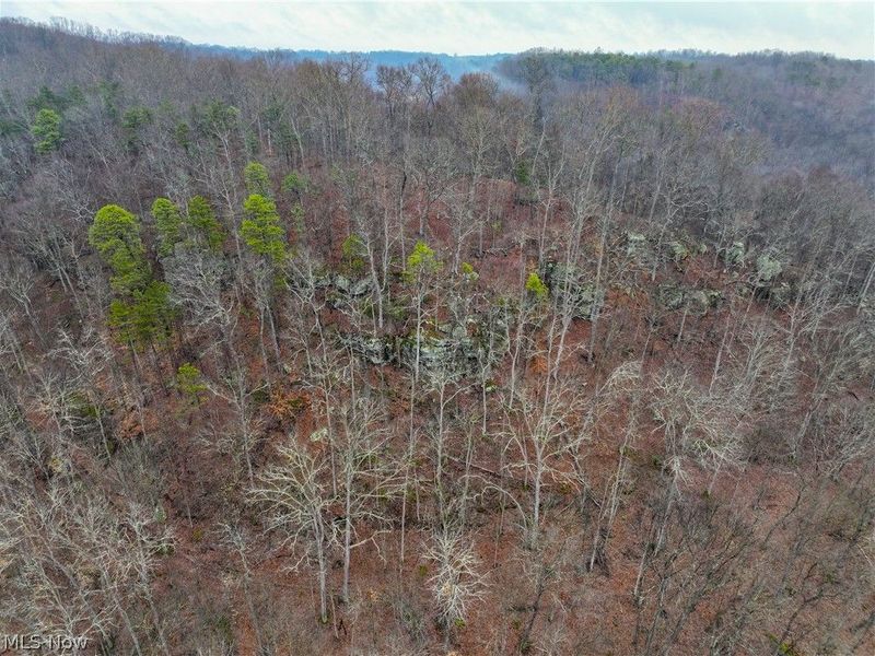 0 Tract 16 Ch 59, Cutler, OH 45724 Photo 29